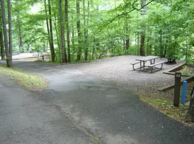 Site 49