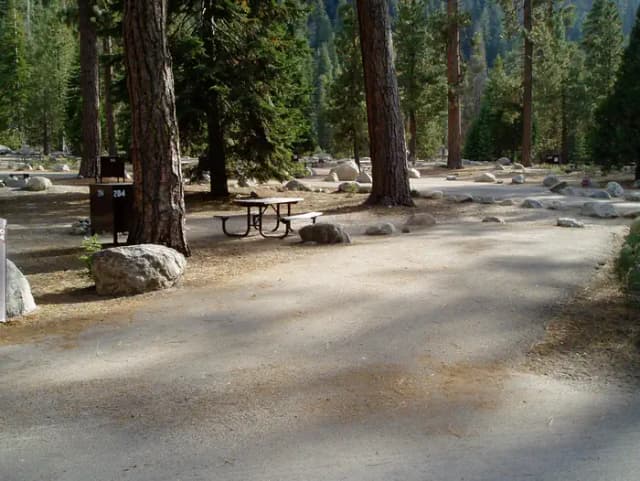 site 204