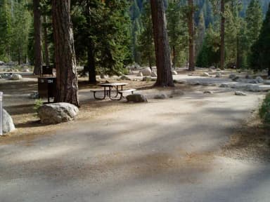 site 204