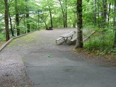 Site 50
