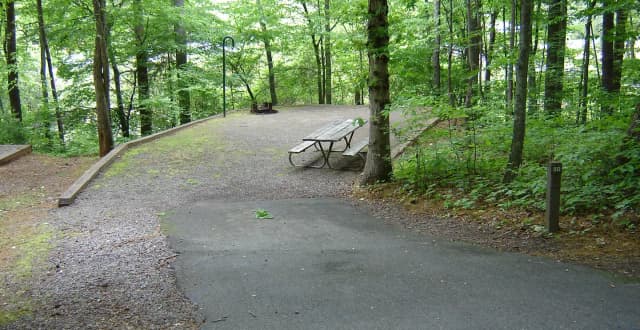 Site 50