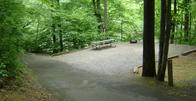 Site 51