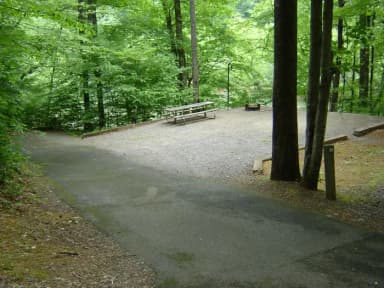 Site 51