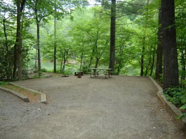 Site #52 Double occupancy