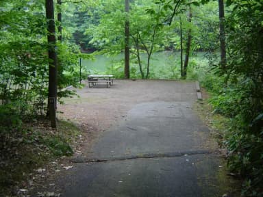 Site 54