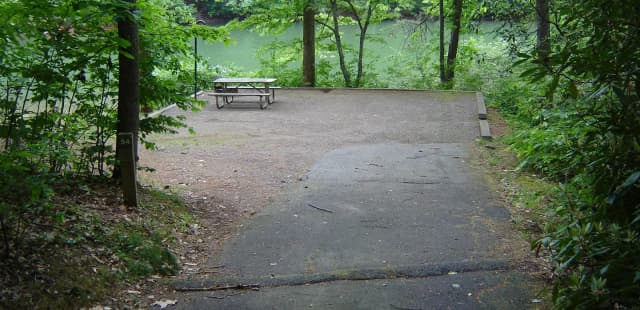Site 54