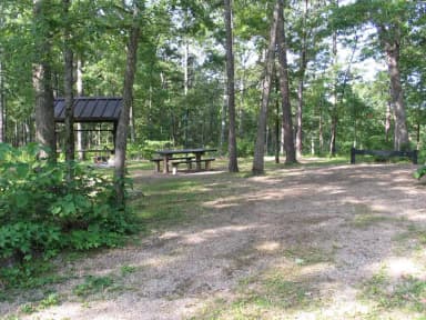 Campsite 11