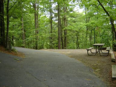 Site 56