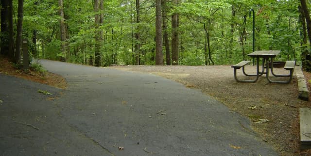 Site 56