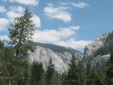 1-22 · Site 004 at Lodgepole Campground-Sequoia and Kings Canyon National Park