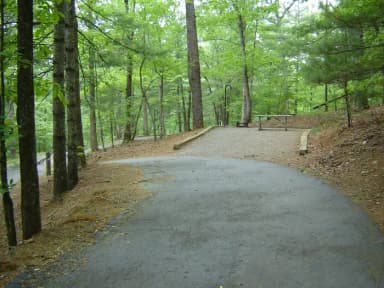 Site 58
