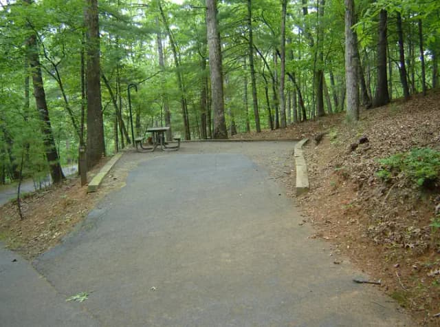 Site 59