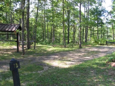 Campsite 15