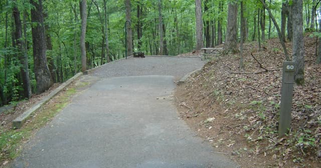 Site 60