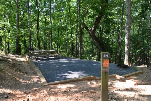 DMT. · Site 54 at Doll Mountain Campground