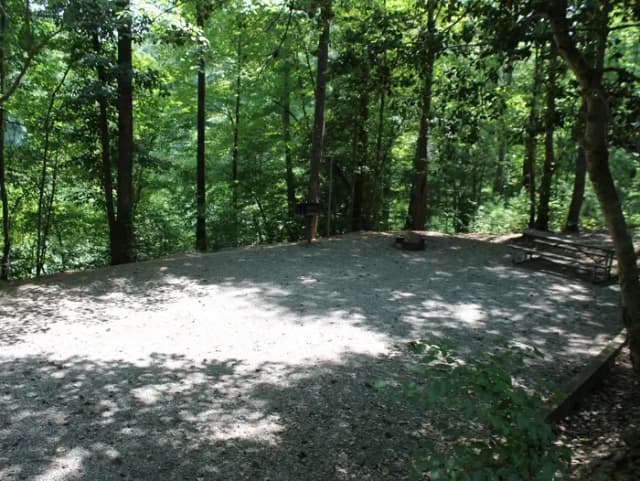 Gravel site with table, grill, fire pit with steps leading down from parking