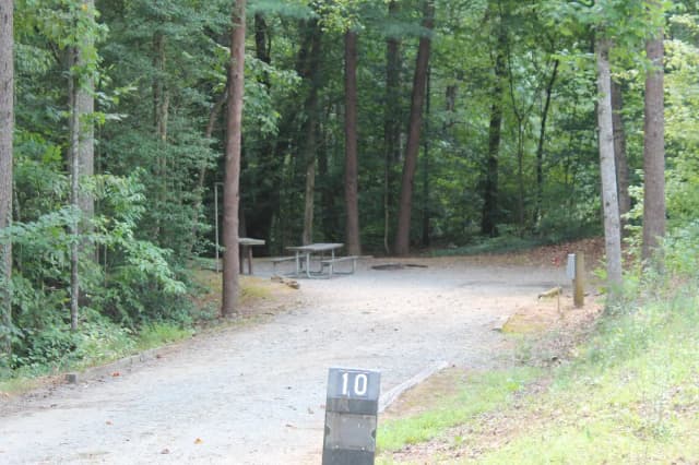 Long gravel site surrounded by tall trees with fire pit, table, grill