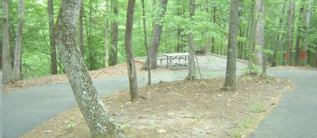 Site 61