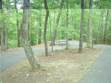 Site 61