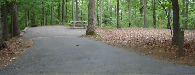 Site #62