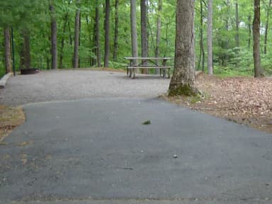Site 62