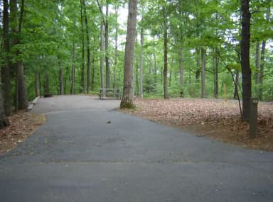 Site 62