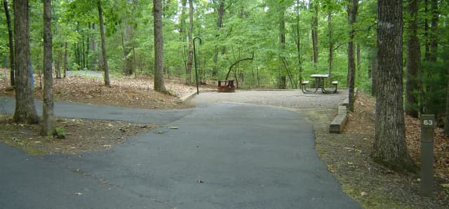 Site 63