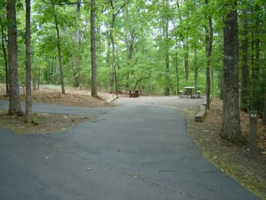 Site 63