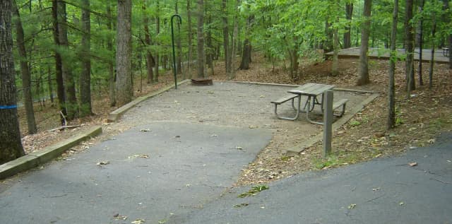 Site 64