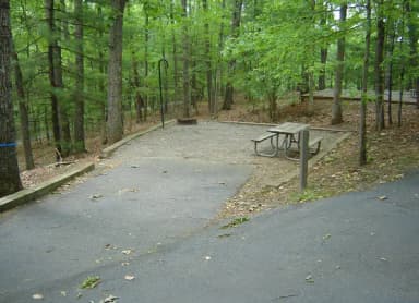 Site 64