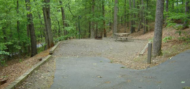 Site 65