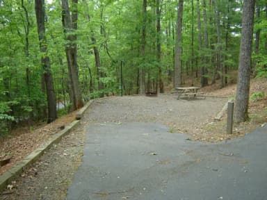 Site 65