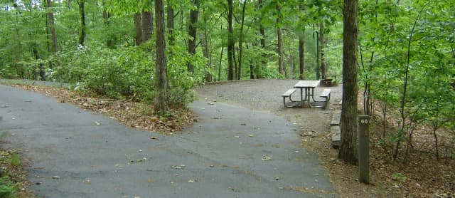 Site 66