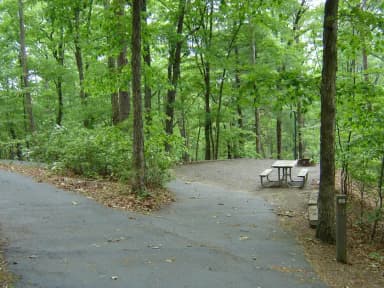 Site 66