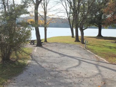 Campsite 17 Defeated Creek Campground