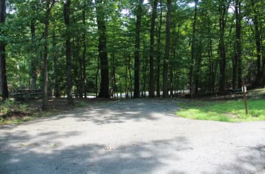 B Loop Site 51 Greenbelt Park Maryland Campground