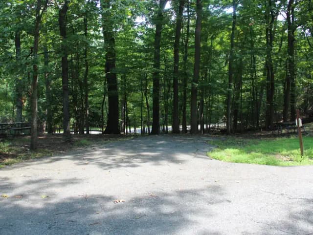 B Loop Site 51 Greenbelt Park Campground