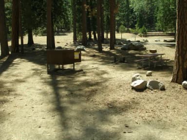 site 81