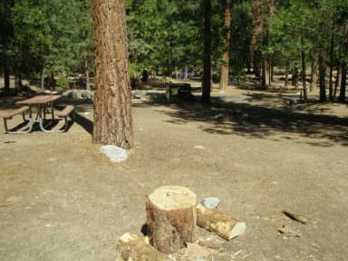 site 82