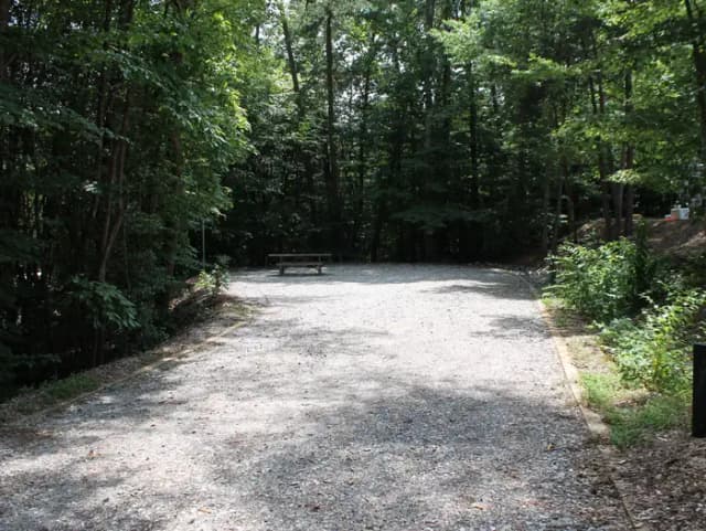 Long gravel pull in and site with table, fire pit, grill