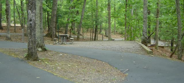 Site 69