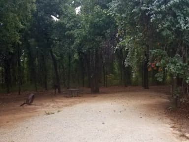 Site #81