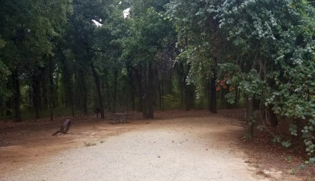 Site #81