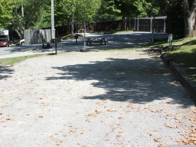 Site 41