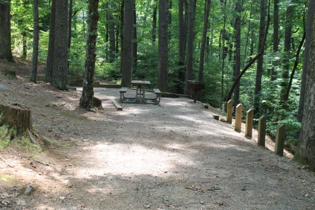 Grave site with table fire pit, and grill