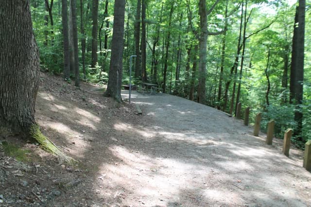 Grave site with table fire pit, and grill