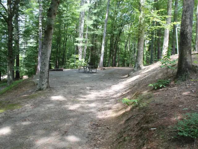 Grave site with table fire pit, and grill