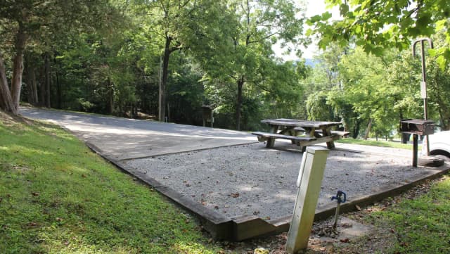 Loop FMIP · Site 100 at Floating Mill Park