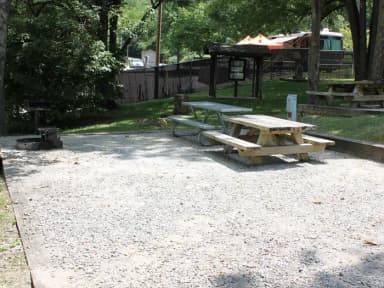 Site 44