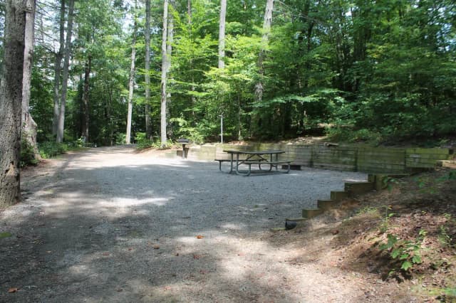 Grave site with table fire pit, and grill